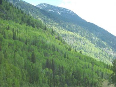 Landschaft
