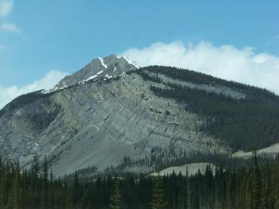 Berg