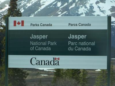 Jasper