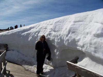 Mt. Whistler