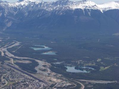 Mt. Whistler / Jasper