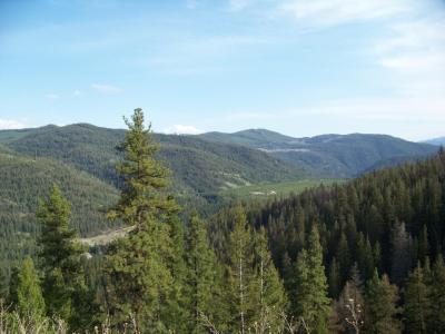 Landschaft