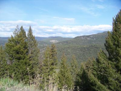 Landschaft
