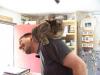Aleks und der (Stuben)Tiger