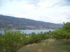 Landschaft