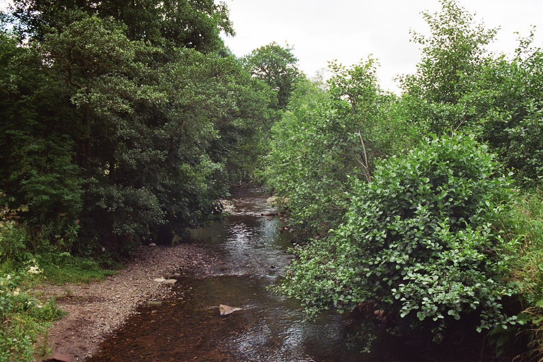 http://www.al-mi.de/media/schottland07/pictures/bach.jpg
