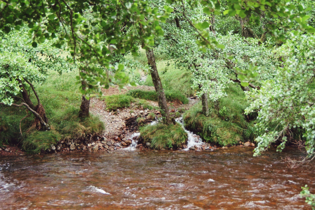 http://www.al-mi.de/media/schottland07/pictures/fluss7-1.jpg