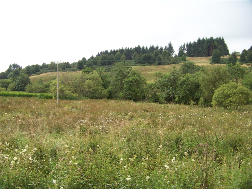 http://www.al-mi.de/media/schottland08/pictures/100_0741.jpg