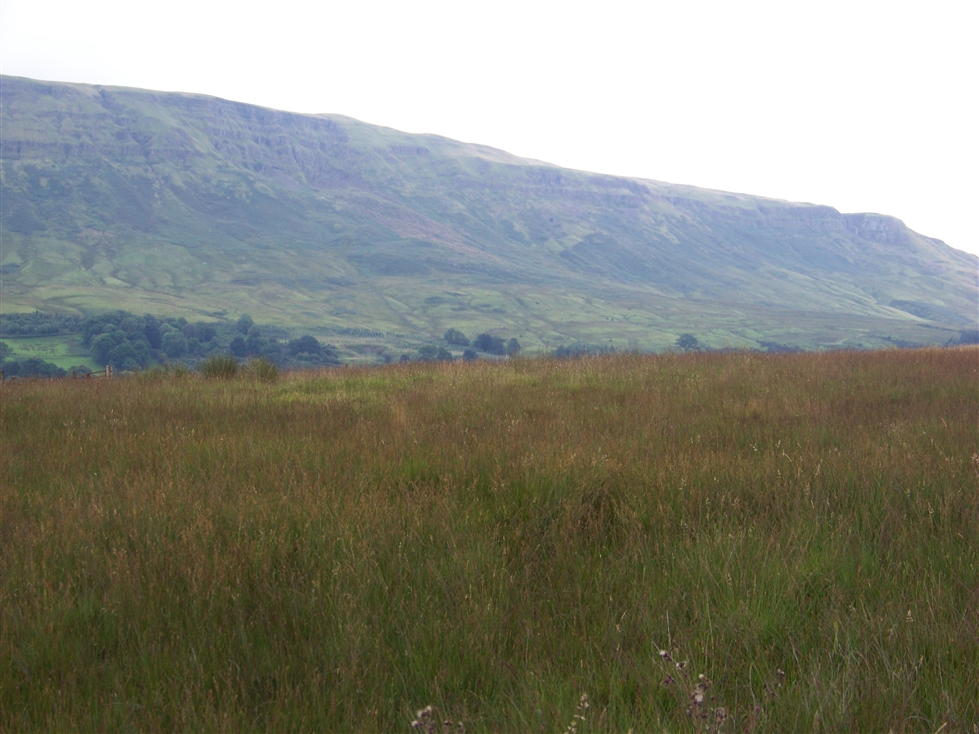 http://www.al-mi.de/media/schottland08/pictures/100_0758.jpg