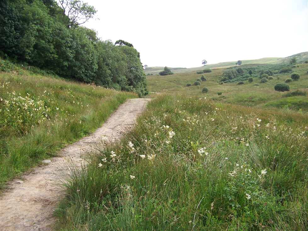 http://www.al-mi.de/media/schottland08/pictures/100_0762.jpg