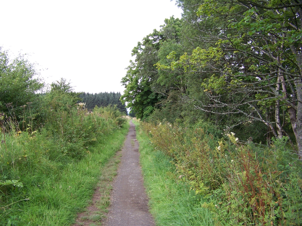 http://www.al-mi.de/media/schottland08/pictures/100_0767.jpg