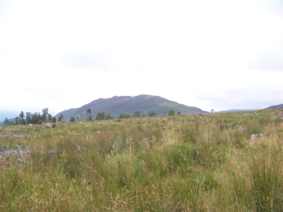 http://www.al-mi.de/media/schottland08/pictures/100_0788.jpg