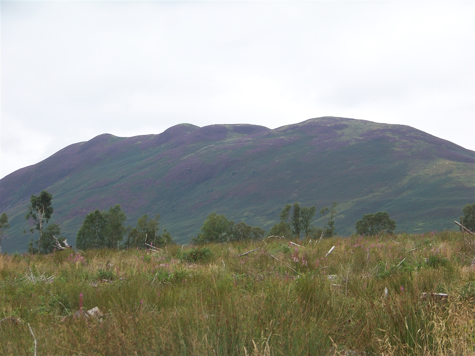 http://www.al-mi.de/media/schottland08/pictures/100_0789.jpg