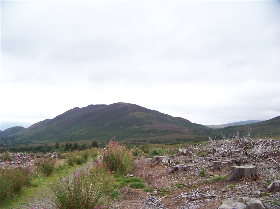 http://www.al-mi.de/media/schottland08/pictures/100_0796.jpg