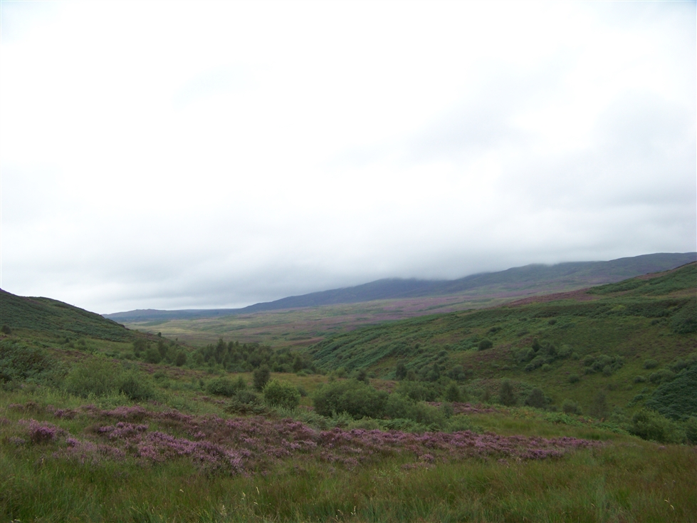 http://www.al-mi.de/media/schottland08/pictures/100_0801.jpg