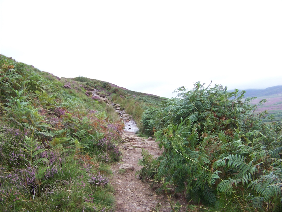 http://www.al-mi.de/media/schottland08/pictures/100_0802.jpg